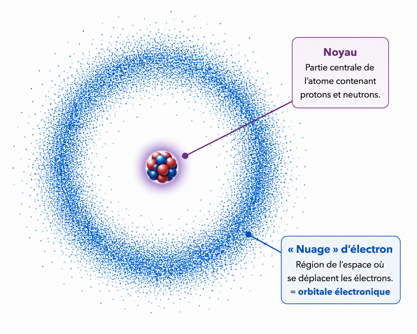 Noyau et électrons dans le nuage électronique