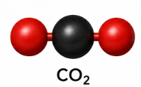 Modèle moléculaire du dioxyde de carbone