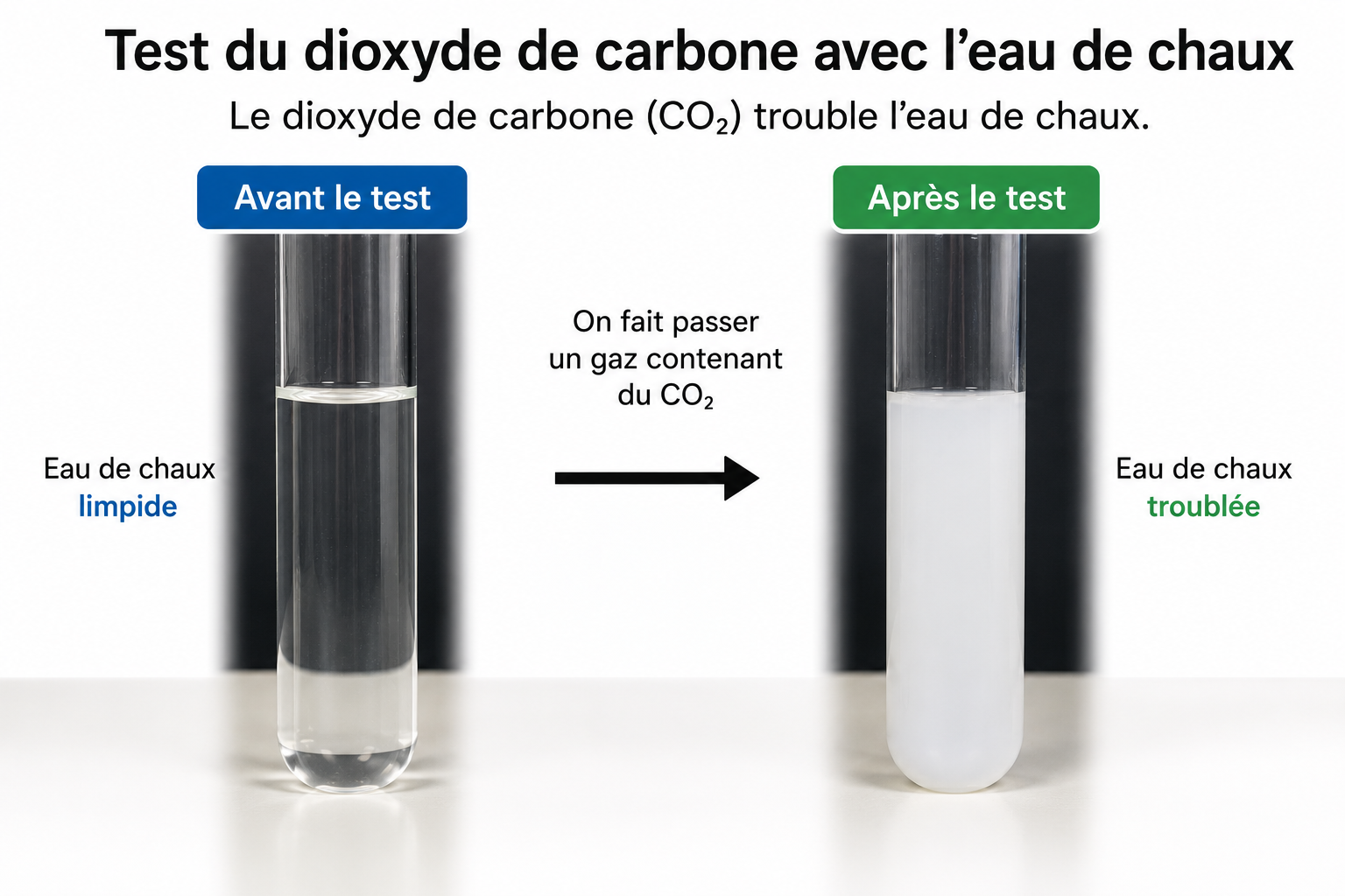 Test du dioxyde de carbone avec l'eau de chaux